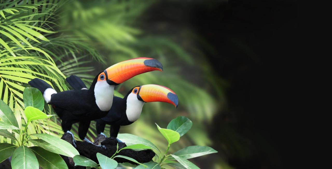 Atiaia Jungle River Retreat 维奥康德马奥 外观 照片